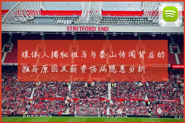 媒体人揭秘祖马与泰山传闻背后的推荐原因及薪资伤病隐患分析